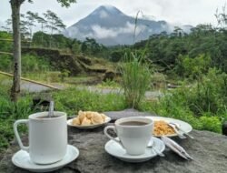 Subak Bali, Nyeruput Kopi di Tengah Keindahan