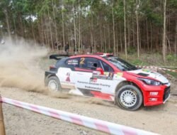 Rally Indonesia 2024, Keseruan Dengan Seni Balapan Profesional