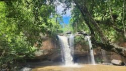 Khao Yai National Park, Thailand – Hutan Tropis dengan Keanekaragaman Satwa Liar