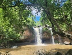 Khao Yai National Park, Thailand – Hutan Tropis dengan Keanekaragaman Satwa Liar