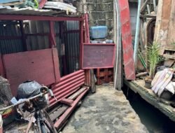 Gaya Rama Duwaji, Istri Zohran Mamdani di Pelantikan Walikota
