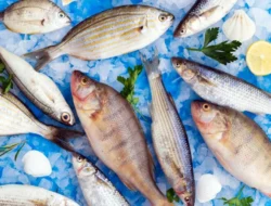 5 Ikan yang Sebaiknya Tidak Dikonsumsi, Bisa Picu Keracunan Serius