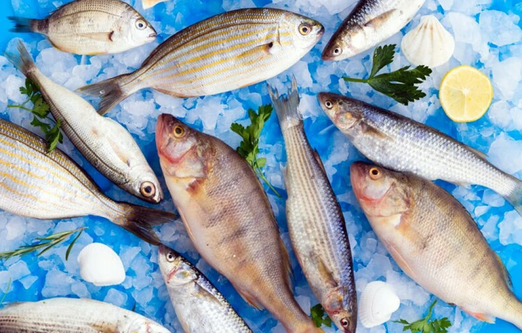 ikan yang sebaiknya tidak dikonsumsi