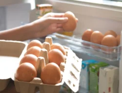 Menyimpan Telur di Kulkas atau Luar? Ini Jawaban Ilmiah yang Mengejutkan