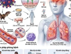 Virus Nipah pada Otak Dokter Ungkap Kerusakan Diam yang Bisa Fatal