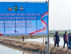 Benih Udang Muaragembong Polda Metro Tebar 300 Ribu Pulihkan Pasokan