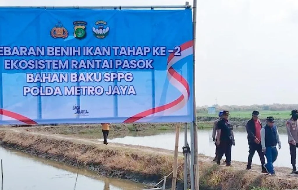 Benih Udang Muaragembong