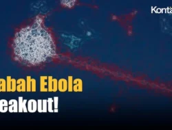 Wabah Ebola Darurat 131 Meninggal, WHO Nyatakan Status Internasional