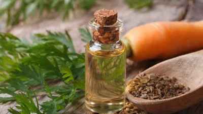 Carrot Seed Oil Kian Populer sebagai Bahan Alami Anti Aging untuk Perawatan Kulit