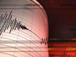 BMKG Prediksi Gempa Susulan NTT Bisa Berlangsung 4 Minggu, Warga Diminta Waspada